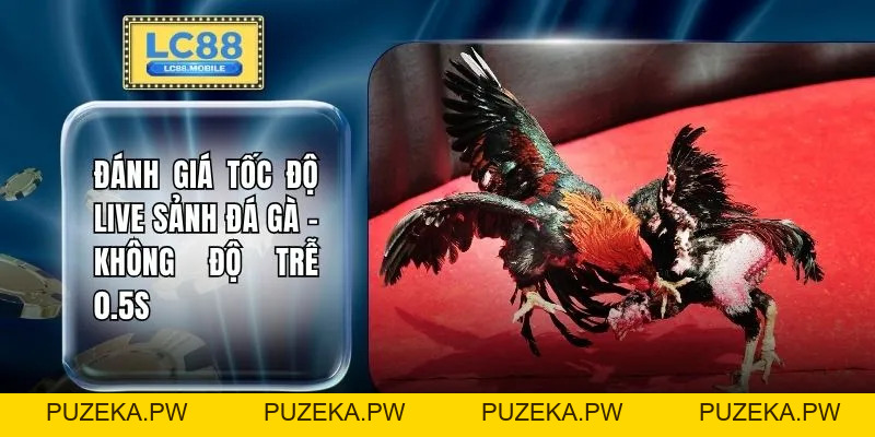 Đá Gà LC88 - Bứt Tốc 150% Sức Mạnh Khi Trận Đấu Đẩy Lên Đỉnh - PUZEKA