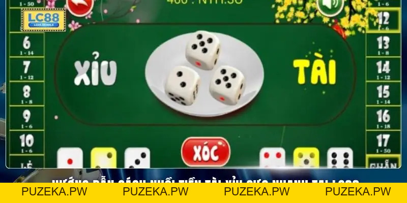 Kỹ Năng Nhồi Tiền Tài Xỉu Cực Nhanh - 5 Bí Kíp Hốt Bạc - PUZEKA